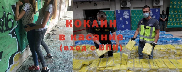 шишки Бердск