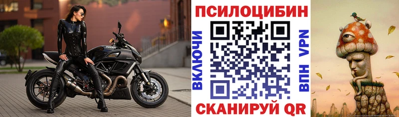 Псилоцибиновые грибы Psilocybe  где купить   Печоры 
